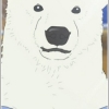 Shirokuma