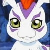 Gomamon