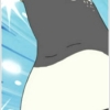 Gentoo Penguin
