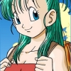 Bulma Briefs