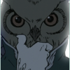 Owl Man