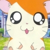 Hamtaro