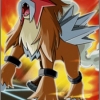 Entei