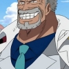 Garp Monkey D.