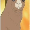 Llama