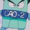CAO-2
