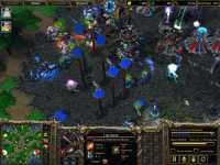  Warcraft 3: The Frozen Throne, 126KB