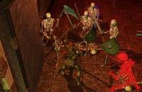 Neverwinter Nights, , 40KB