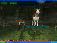 EverQuest II, , 66KB