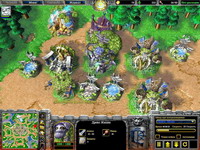 Warcraft 3: The Frozen Throne     , 152KB