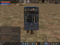 Lineage 2, , 70KB