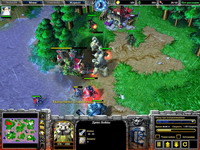 Warcraft 3: The Frozen Throne, , 145KB