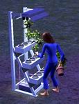 Sims 2, , 42KB