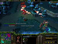 Warcraft III, , 104KB