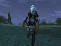 Lineage 2, , 34KB
