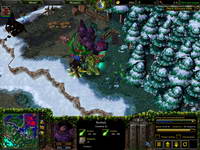 Warcraft III, , 121KB