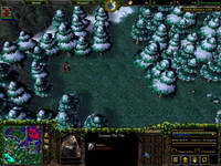 Warcraft III, , 124KB