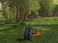 The Lord of the Rings Online: Shadows of Angmar     скриншот, 145KB