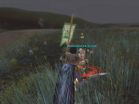 The Lord of the Rings Online: Shadows of Angmar     скриншот, 110KB