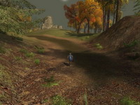 The Lord of the Rings Online: Shadows of Angmar     скриншот, 140KB