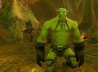 World of Warcraft     , 130KB
