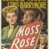 Moss Rose