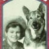 The Return of Rin Tin Tin