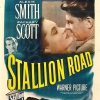 Stallion Road