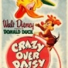 Crazy Over Daisy