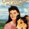 Challenge to Lassie