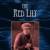 The Red Lily