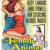 The Female Animal