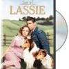 Son of Lassie