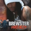 The Brewster Project