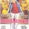 Berdus milyoner