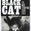 The Black Cat