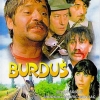 Burdus