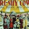 Girl-Shy Cowboy