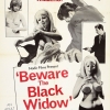 Beware the Black Widow