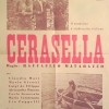 Cerasella