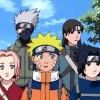Naruto Special: Battle at Hidden Falls. I am the Hero!